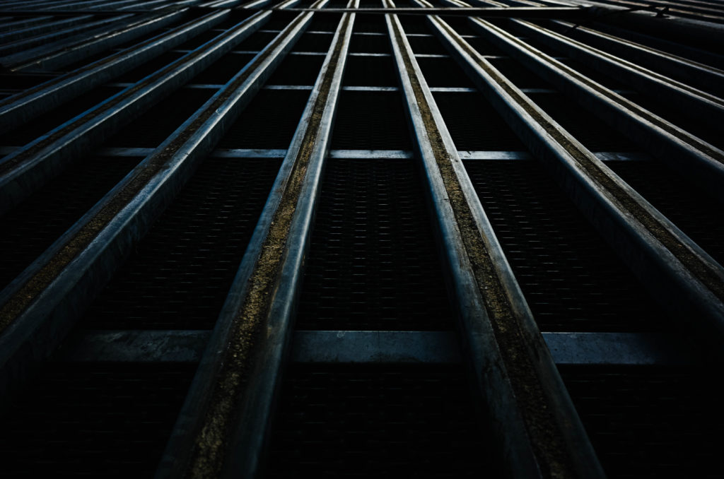 Lines
