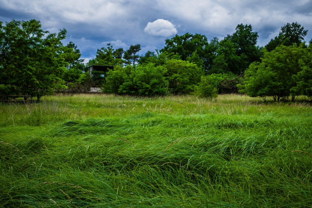 20250607-R0006559-2.jpg