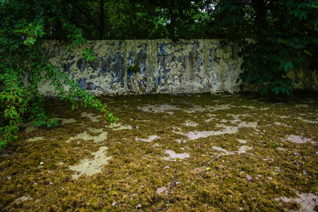 20250607-R0006562-2.jpg