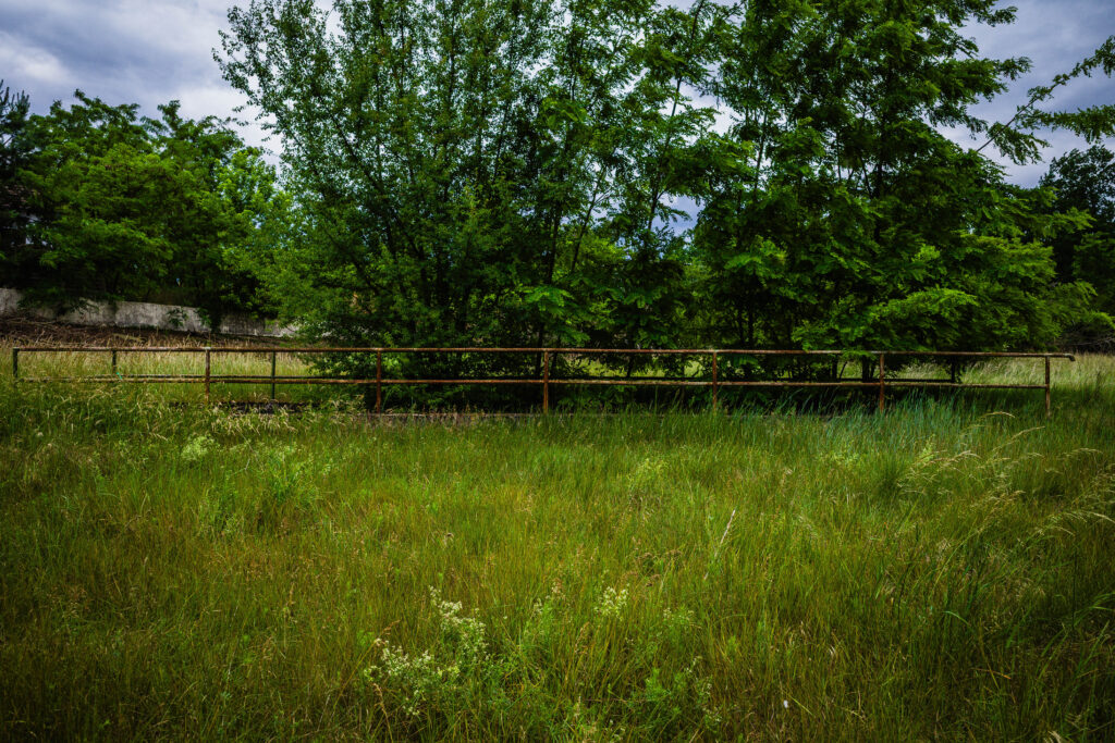 20250607-R0006564-2.jpg