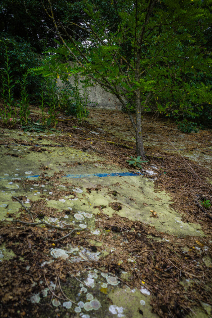 20250607-R0006565.jpg