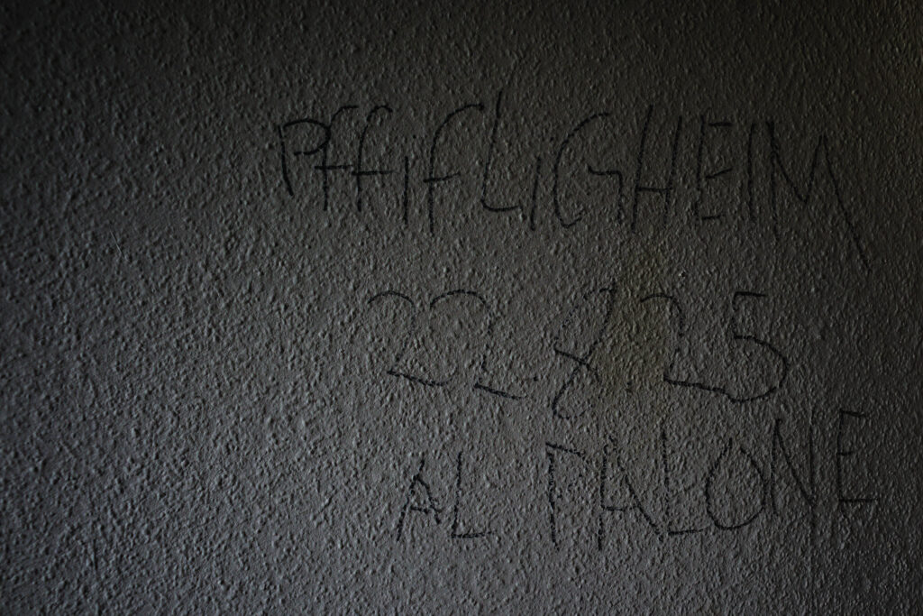 20250830-R0006861.jpg